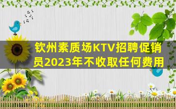钦州素质场KTV招聘促销员2023年不收取任何费用